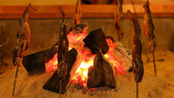 岩手・民宿赤坂田の囲炉裏で焼かれる川魚の塩焼き