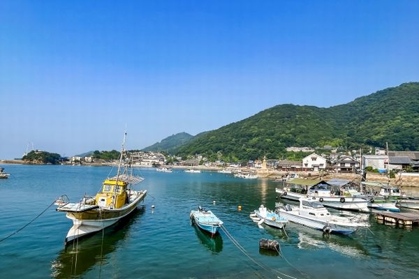 四国・瀬戸内海の漁港風景|料理がすごい民宿が集まる海辺エリア