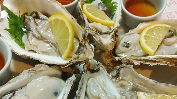 宮城・南三陸「民宿 清観荘」の南三陸産オイスター料理|地元の海で獲れた新鮮な牡蠣を味わえる人気民宿