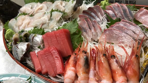 西伊豆堂ヶ島 民宿 保海荘 地魚刺身盛り